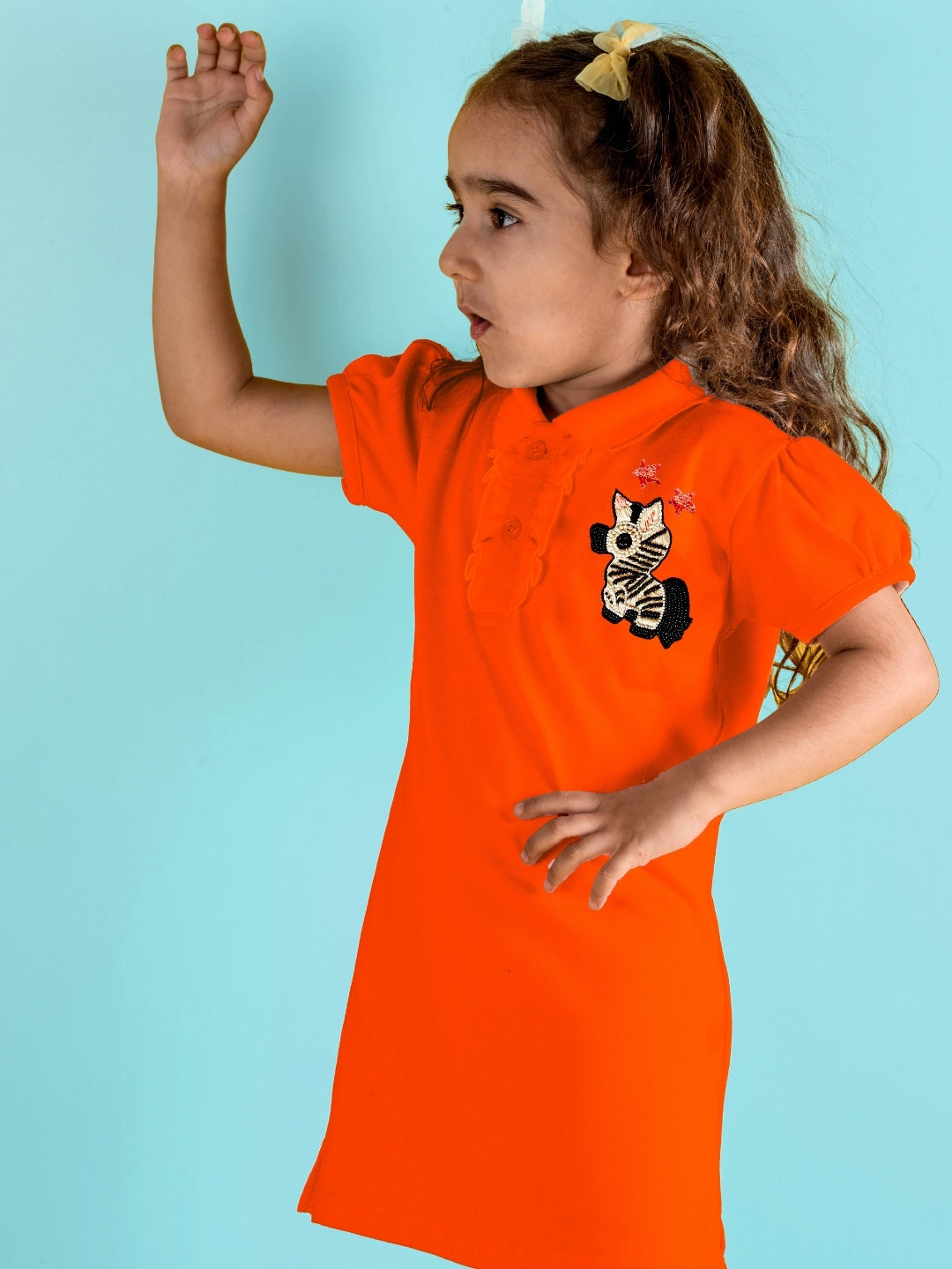 Zebra Straight Dress