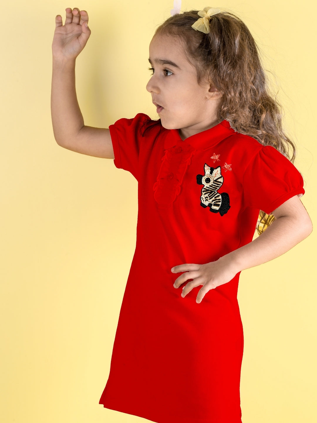 Zebra Straight Dress