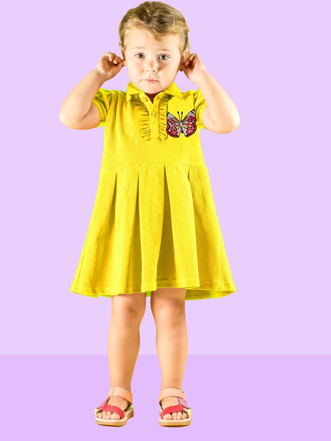 Butterfly Pleated Dress